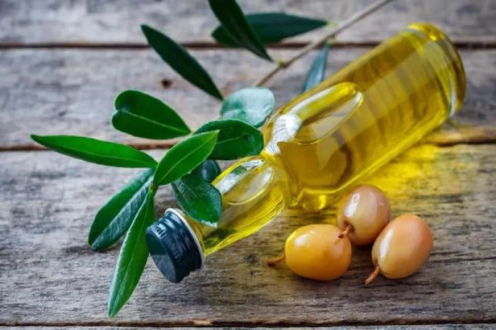 棕榈油期货为什么买不了(棕榈油期货为什么买不了了) (https://www.njaxzs.com/) 期货直播间 第1张