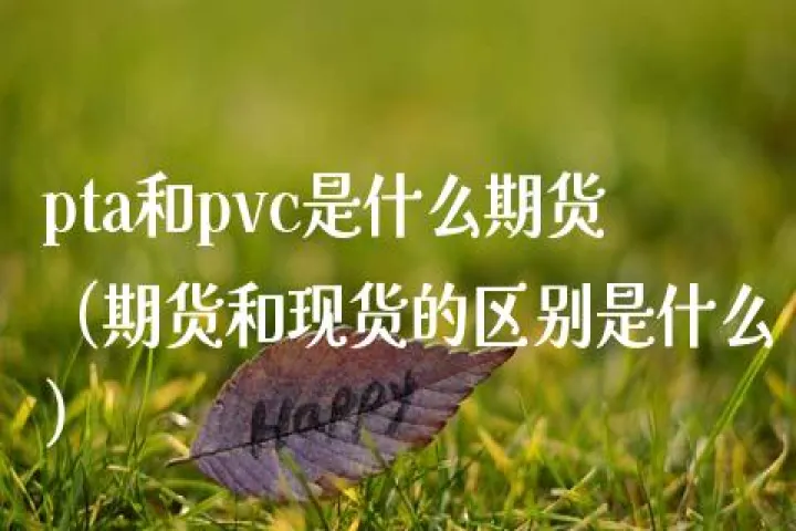 pta期货和什么品种关联(pta期货和什么有关) (https://www.njaxzs.com/) 内盘期货 第1张