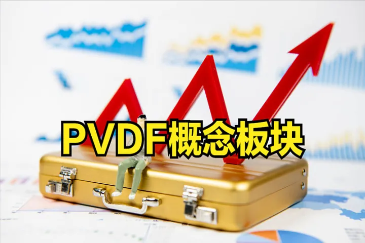 pvdf对应的期货是什么(pvdf概念是什么意思) (https://www.njaxzs.com/) 期货投资 第1张