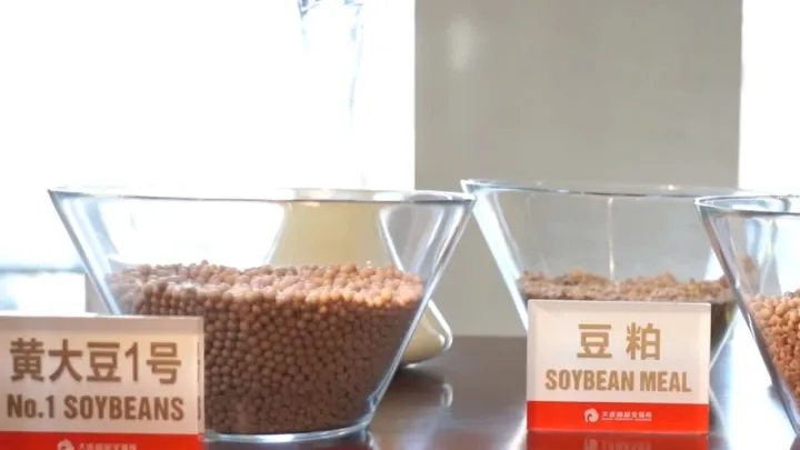 大豆油期货交易(豆油期货交易规则) (https://www.njaxzs.com/) 期货行情 第1张