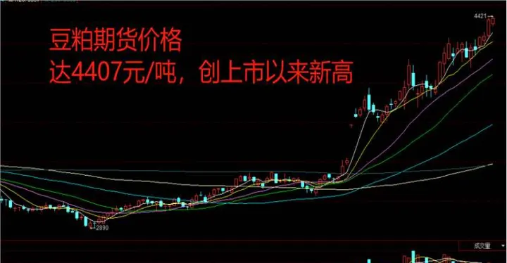 豆粕期货晚上几点停止交易吗(豆粕期货几点开盘) (https://www.njaxzs.com/) 期货行情 第1张