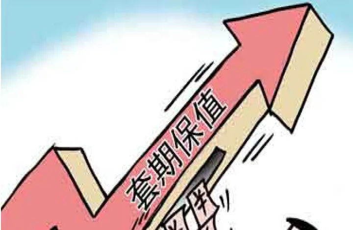 利率期货如何套期保值(套期保值与期货期权) (https://www.njaxzs.com/) 内盘期货 第1张