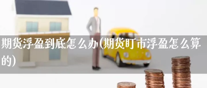 期货平仓浮盈是什么(期货浮盈是什么意思) (https://www.njaxzs.com/) 内盘期货 第1张