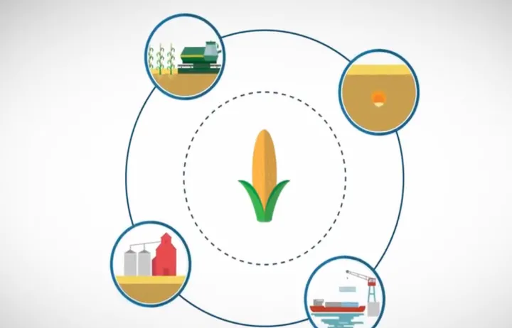 农产品期货市场分化(农产品期货交易市场) (https://www.njaxzs.com/) 黄金期货 第1张