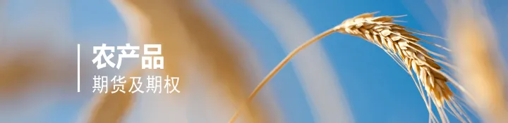农产品期货的一手(期货一手最便宜的品种) (https://www.njaxzs.com/) 原油期货 第1张