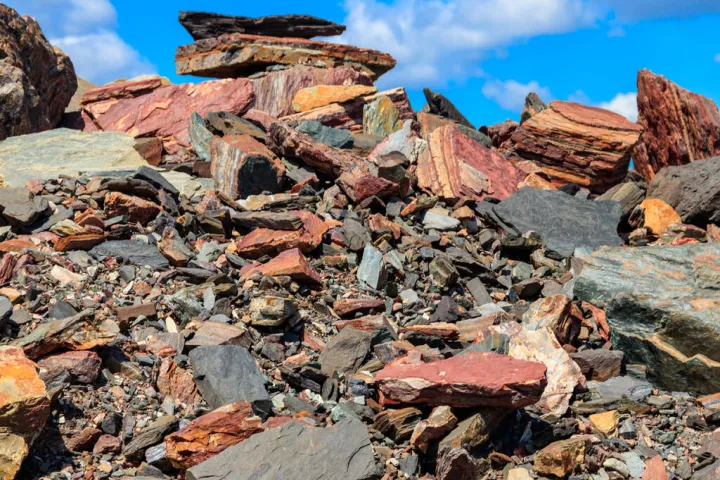 铁矿石期货报价(铁矿石价格最新消息今天) (https://www.njaxzs.com/) 内盘期货 第1张