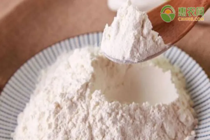 为什么期货淀粉有很多(淀粉期货行情受什么影响) (https://www.njaxzs.com/) 内盘期货 第1张