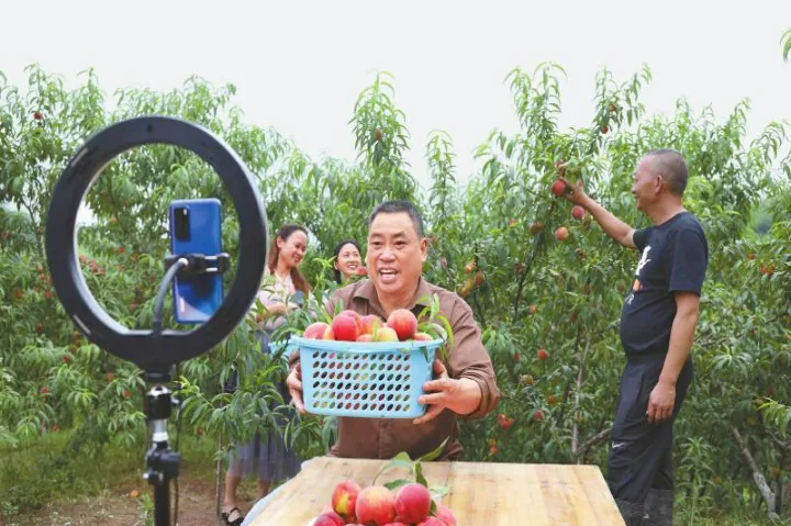 渤海期货直播现场(渤海直播间现场直播) 黄金期货 第1张-爱新财经 渤海期货直播现场(渤海直播间现场直播) (https://www.njaxzs.com/) 黄金期货 第1张