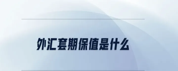 外汇期货套期保值种类有哪些(外汇期货交易套期保值) (https://www.njaxzs.com/) 期货开户 第1张