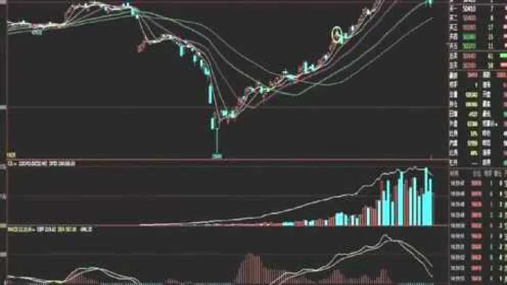 黄伟期货指标详解(黄伟期货交易秘诀) (https://www.njaxzs.com/) 期货开户 第1张