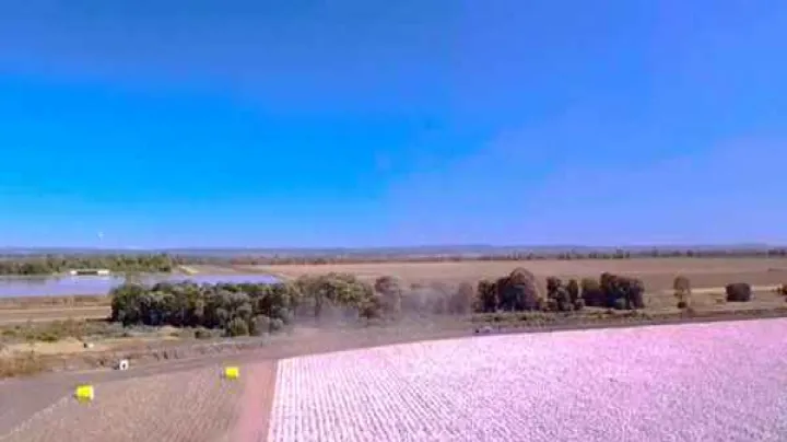 棉花期货现在多少(棉花期货历年价格) (https://www.njaxzs.com/) 期货投资 第1张