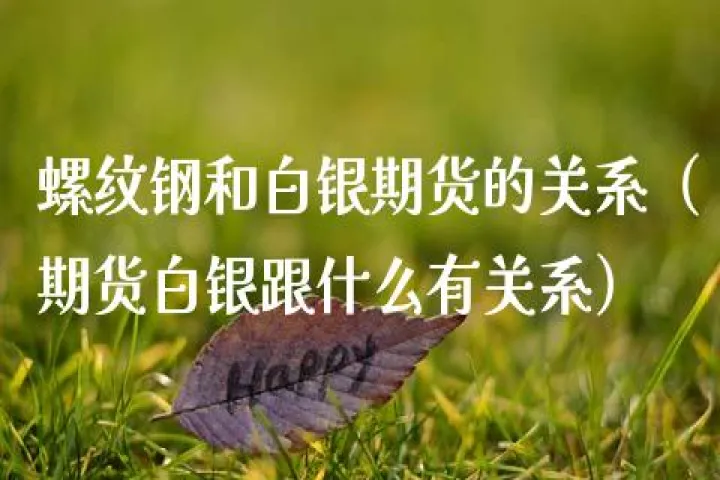 期货白银期货白银交易(白银期货什么意思) (https://www.njaxzs.com/) 内盘期货 第1张