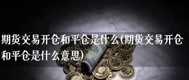 期货暗仓是什么(期货挤仓是什么意思) (https://www.njaxzs.com/) 内盘期货 第1张
