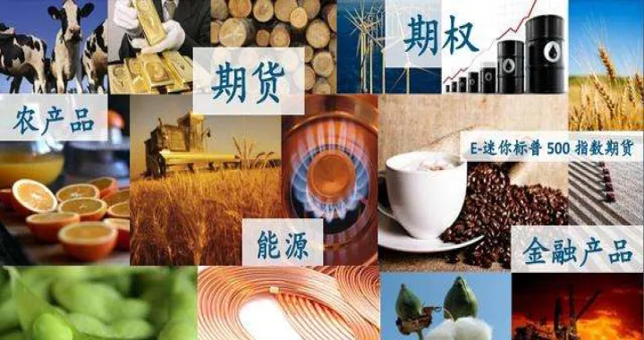 什么期货交易活跃(交易最活跃的期货) 内盘期货 第1张-爱新财经 什么期货交易活跃(交易最活跃的期货) (https://www.njaxzs.com/) 内盘期货 第1张