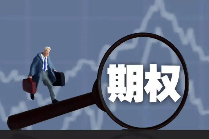 期货市场和和期权市场(期货市场和期权市场) (https://www.njaxzs.com/) 期货开户 第1张