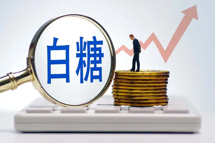 白糖期货绝地反弹(白糖期货交易技巧) (https://www.njaxzs.com/) 内盘期货 第1张