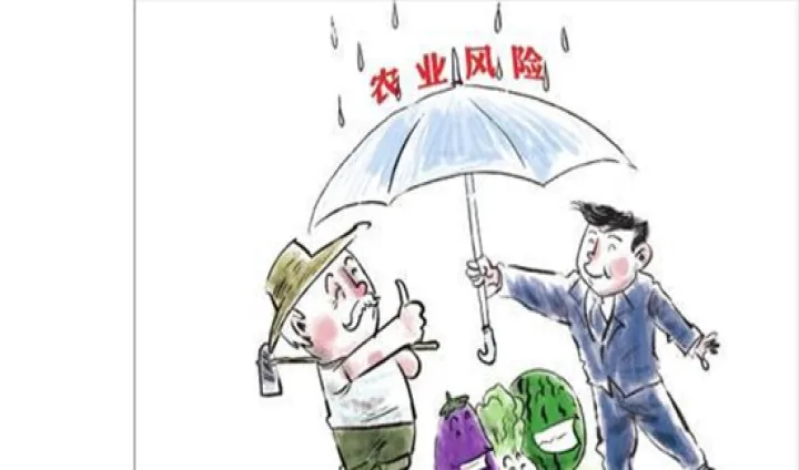 保险期货项目的相关理论研究有哪些(保险期货模式的优缺点) (https://www.njaxzs.com/) 期货直播间 第1张