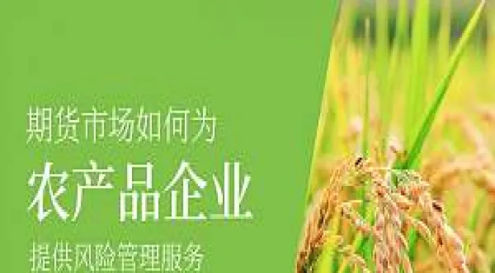 期货农场品上涨的原因是什么(期货农产品涨价) (https://www.njaxzs.com/) 期货行情 第1张