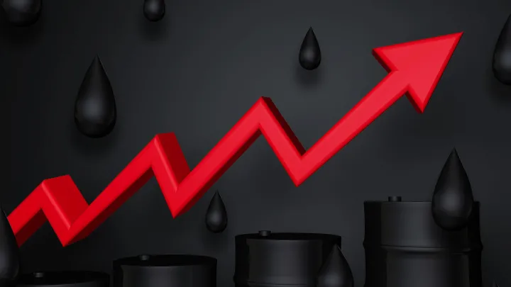 期货中原油指数是什么意思(期货郑油是什么) (https://www.njaxzs.com/) 原油期货 第1张