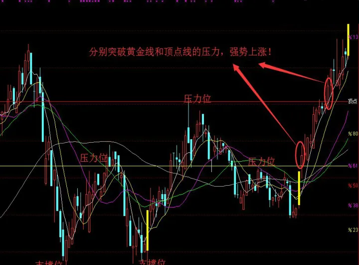 怎么找支撑点期货(怎样找期货的支撑位和压力位) (https://www.njaxzs.com/) 黄金期货 第1张