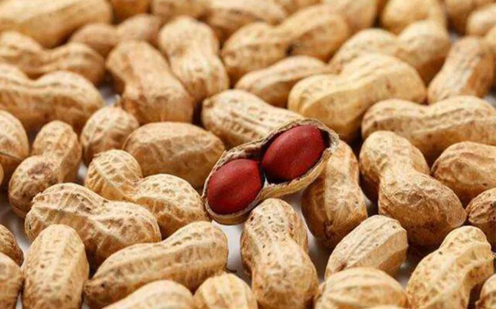 农产品期货大宗有哪些行业(农产品期货概念股) (https://www.njaxzs.com/) 期货直播间 第1张