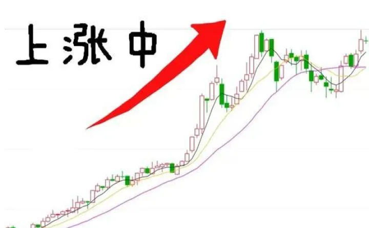 如何判断期货支撑位(期货支撑位是什么意思) (https://www.njaxzs.com/) 内盘期货 第1张