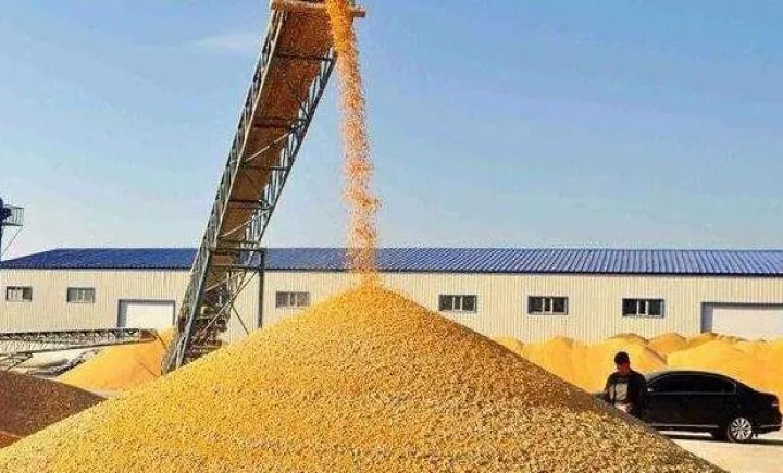 美稻米期货代码(美玉米期货代码) (https://www.njaxzs.com/) 原油期货 第1张