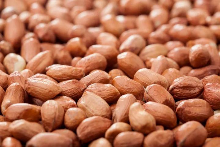 花生主力期货实时行情(花生期货2401合约今日行情) 期货直播间 第1张-爱新财经 花生主力期货实时行情(花生期货2401合约今日行情) (https://www.njaxzs.com/) 期货直播间 第1张