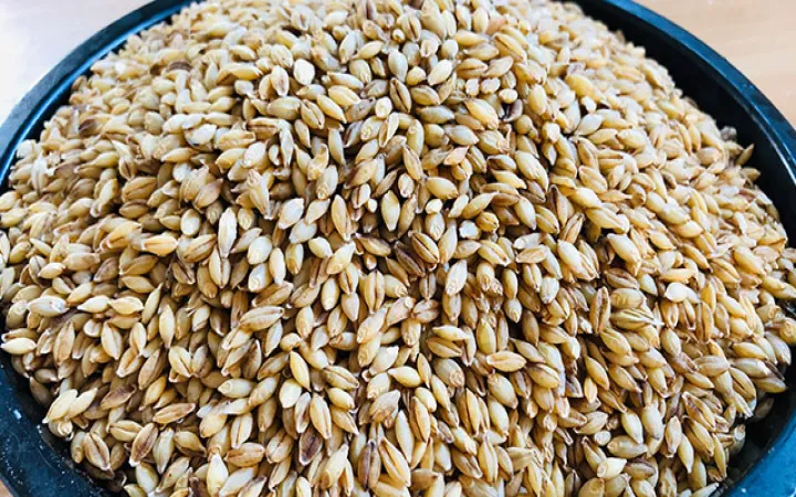 小麦能做期货吗(小麦期货怎么买) (https://www.njaxzs.com/) 期货开户 第1张