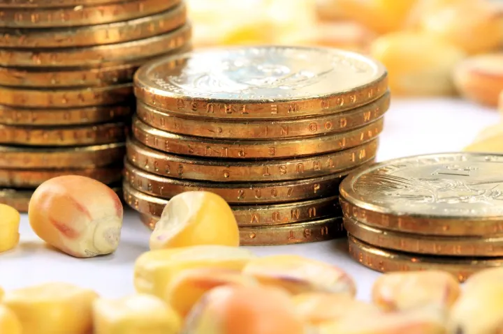 玉米期货为什么一直涨价(玉米期货突然涨价) (https://www.njaxzs.com/) 期货行情 第1张