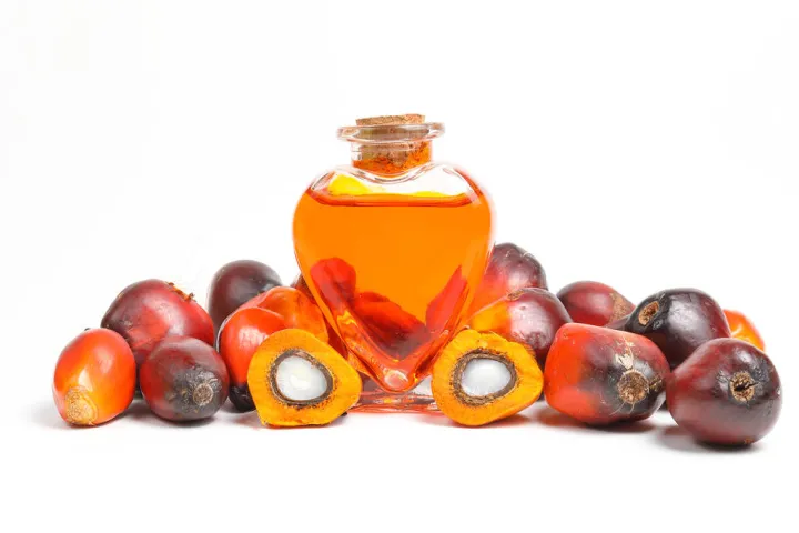 郑州有几个棕榈油期货(上海棕榈油期货) (https://www.njaxzs.com/) 原油期货 第1张