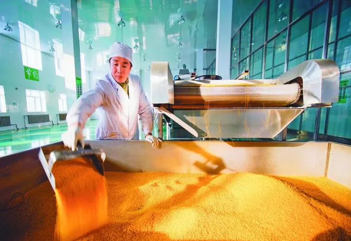 大连期货交易市场玉米交割(玉米期货交割地点在哪里) (https://www.njaxzs.com/) 黄金期货 第1张