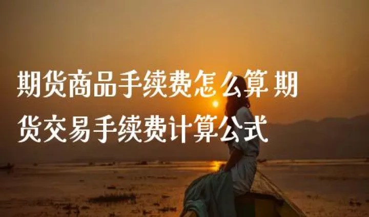 期货多少手续费(期货多少手续费划算) (https://www.njaxzs.com/) 黄金期货 第1张