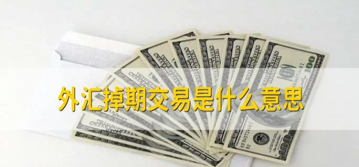 外汇期货合约的标的物(外汇股指期货有哪些) (https://www.njaxzs.com/) 期货投资 第1张