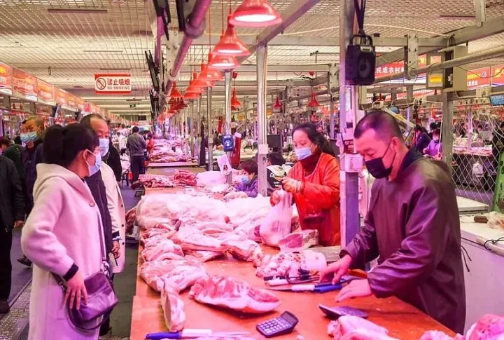 为什么生猪上涨期货大跌(为啥生猪期货在跌而猪肉股票还涨) (https://www.njaxzs.com/) 期货开户 第1张