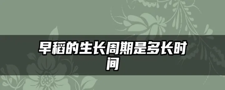 期货中的早稻是什么(早稻期货今日行情) (https://www.njaxzs.com/) 期货直播间 第1张