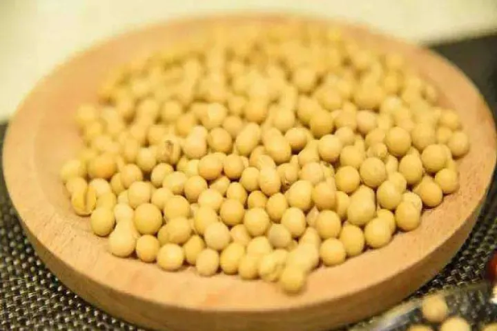 介绍大豆最新期货行情及走势(今天大豆油期货实时行情) (https://www.njaxzs.com/) 内盘期货 第1张