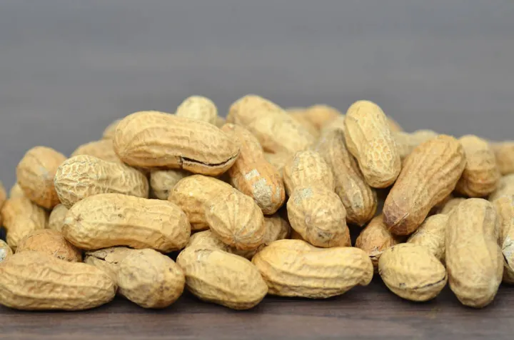 花生期货入库的质量标准是(期货花生品质如何) (https://www.njaxzs.com/) 内盘期货 第1张