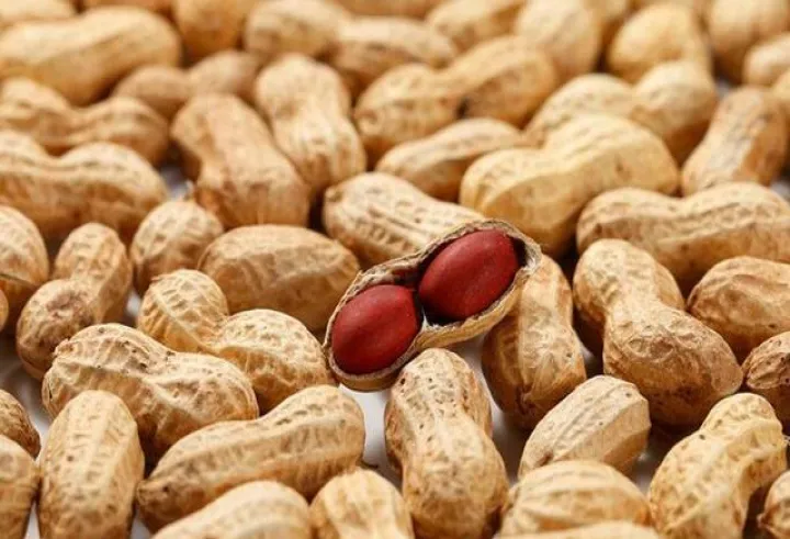 花生期货交割月份(花生期货交割月份短) (https://www.njaxzs.com/) 期货直播间 第1张