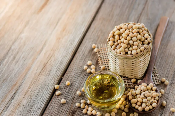 豆油期货行情判断(豆油期货最新行情) (https://www.njaxzs.com/) 期货开户 第1张