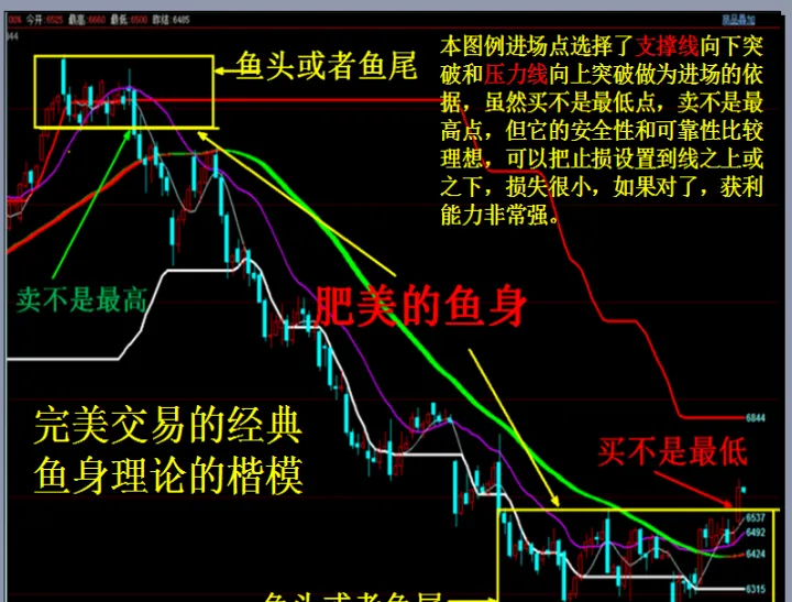 短纤期货门槛高么(短纤期货最新消息) (https://www.njaxzs.com/) 黄金期货 第1张
