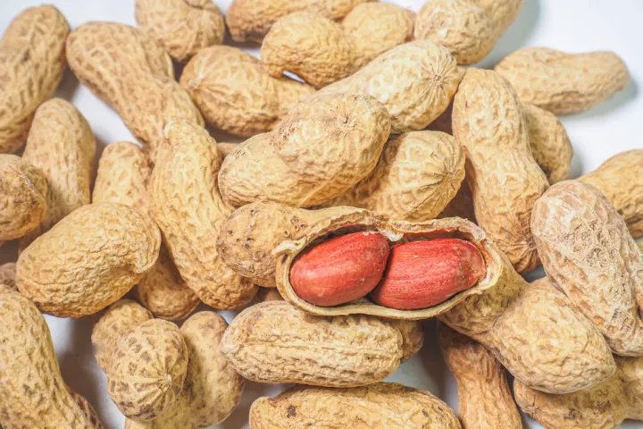 上海花生期货交易市场(国内花生期货交易) (https://www.njaxzs.com/) 期货直播间 第1张