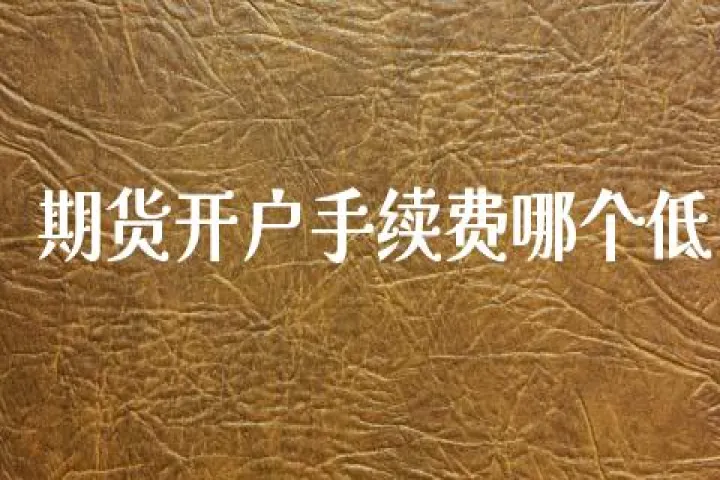 玉溪这家期货手续费竟然最低(昆明期货手续费哪个最低) (https://www.njaxzs.com/) 期货直播间 第1张