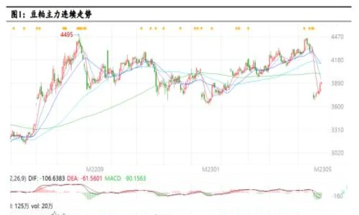 豆粕期货年度波动率(豆粕期货每年走势规律) (https://www.njaxzs.com/) 期货行情 第1张