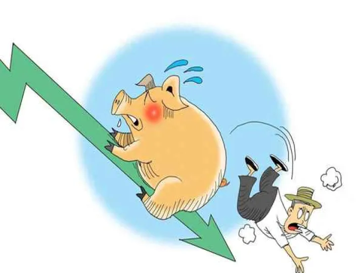 怎样买生猪期货(生猪期货新手可以买吗) (https://www.njaxzs.com/) 期货直播间 第1张