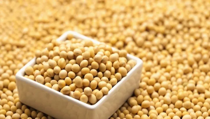 美国大豆期货夜盘(大豆期货怎么购买) (https://www.njaxzs.com/) 原油期货 第1张