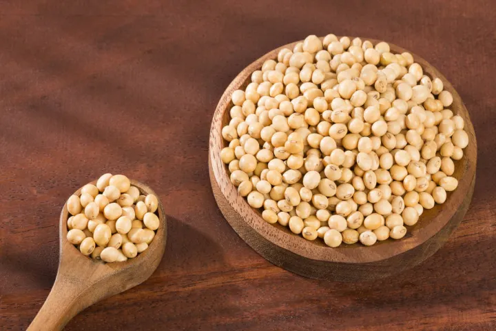 美黄豆期货一手(美黄豆期货行情实时) (https://www.njaxzs.com/) 期货直播间 第1张