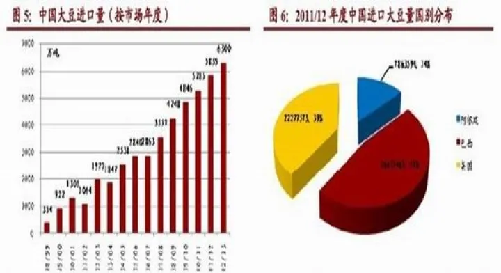 专做菜粕期货一个品种(专做一个期货品种) (https://www.njaxzs.com/) 期货投资 第1张