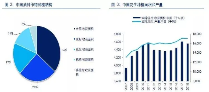 花生期货关联品种(花生期货为什么大跌) (https://www.njaxzs.com/) 期货投资 第1张