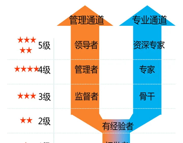 期货部晋升路径(期货晋级的几个阶段) (https://www.njaxzs.com/) 期货直播间 第1张